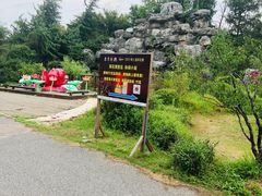 -上海海湾国家森林公园