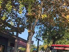 -浙江省博物馆(孤山馆区)