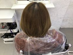 -SALON V