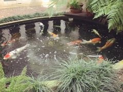 -Fern Forest Cafe