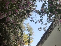 -深圳国际园林花卉博览园