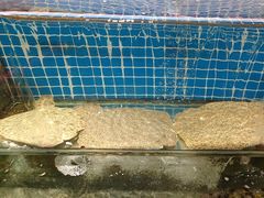 -黑石礁酒楼·海鲜(黑石礁店)
