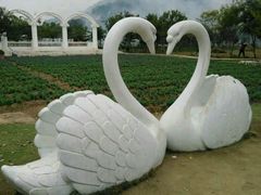 -丹樱生态园