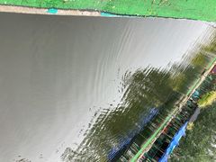 -杨柳青庄园