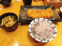 -胜博殿日式炸猪排(西红门店)