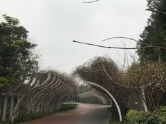 -眉山湿地公园(东坡区)