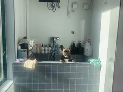 -宠颐生动物医院·心脏科·保险定点(锦阳分院)