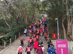 -上海佘山国家森林公园东门地面停车场