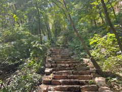 -大岭沟猕猴桃谷风景区