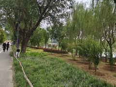 -马家湾湿地公园