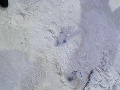 -宁波冰雪大世界(北仑区)