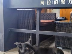 -ALAMEEN阿拉伯餐厅(三里屯店)