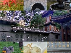 -西安大兴善寺