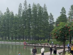-圩墩遗址公园
