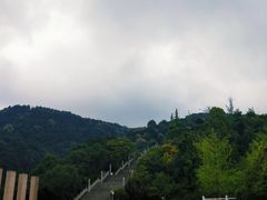 -铁山坪森林公园