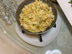 -丁老爷子苏香圆