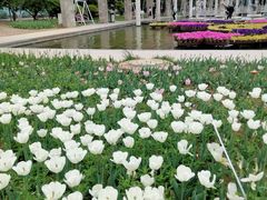 -石家庄市植物园
