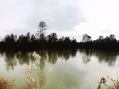 -池杉湖湿地公园