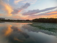 -大兴滨河森林公园