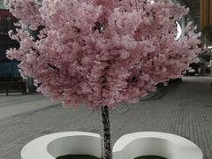 -刀马旦养生中心(时代店)