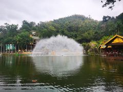 -西双版纳原始森林公园