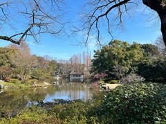 -杭州植物园