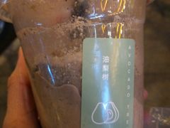 -油梨树 AVOCADO TREE(亮马桥店)
