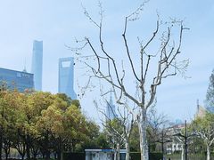-陆家嘴中心绿地
