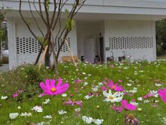 -悦见花开·花园里的火锅·露营·下午茶