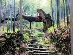 -会稽山峡洞漂流-上青古道