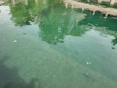 -百脉泉景区