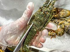-亚马逊蒸汽活海鲜自助(LCM置汇旭辉广场店)