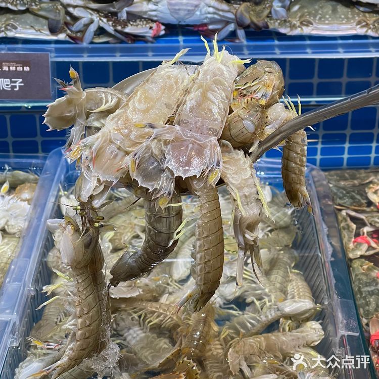 【沈阳真的是富贵迷人眼啊.......】