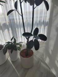 -HEYAN荷妍专业脱毛连锁机构