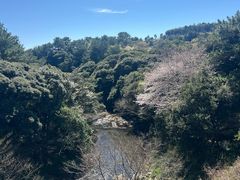 -西归浦真珠食堂