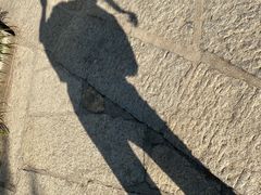 -南岳衡山风景名胜区-南岳大庙