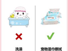 -翊宠yipet猫狗购宠庄园犬舍•猫舍