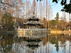 -习家池