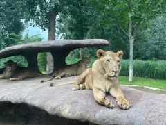 -北京野生动物园