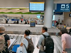 -达拉斯 沃斯堡国际机场