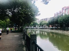 -晓港公园