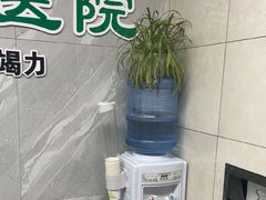 -半岛宠物医院24小时(白果林店)