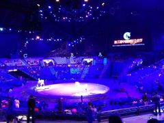 -珠海横琴长隆《卡卡虎奇遇记》