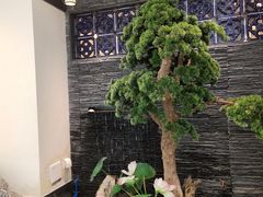 -大榕树下顺德菜(融创茂店)