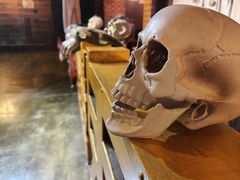 -长藤鬼校(龙翔店)