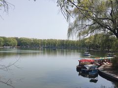 -北陵公园
