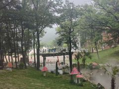 -沂蒙山旅游区云蒙景区(蒙山国家森林公园)