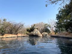 -七彩云南古滇温泉山庄