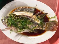 -天强农家菜馆