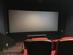 -金逸影城(荟聚IMAX激光店)